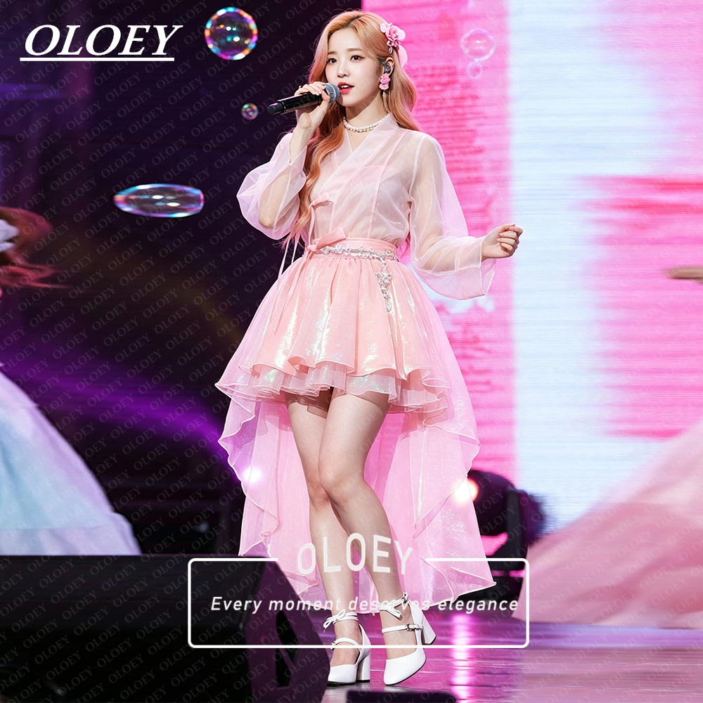 OLOEY Ensemble Hanbok court ro - Hanbok Modern Set avis et prix
